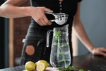 Sallys Edelstahl Zitruspresse all-in-one Presse